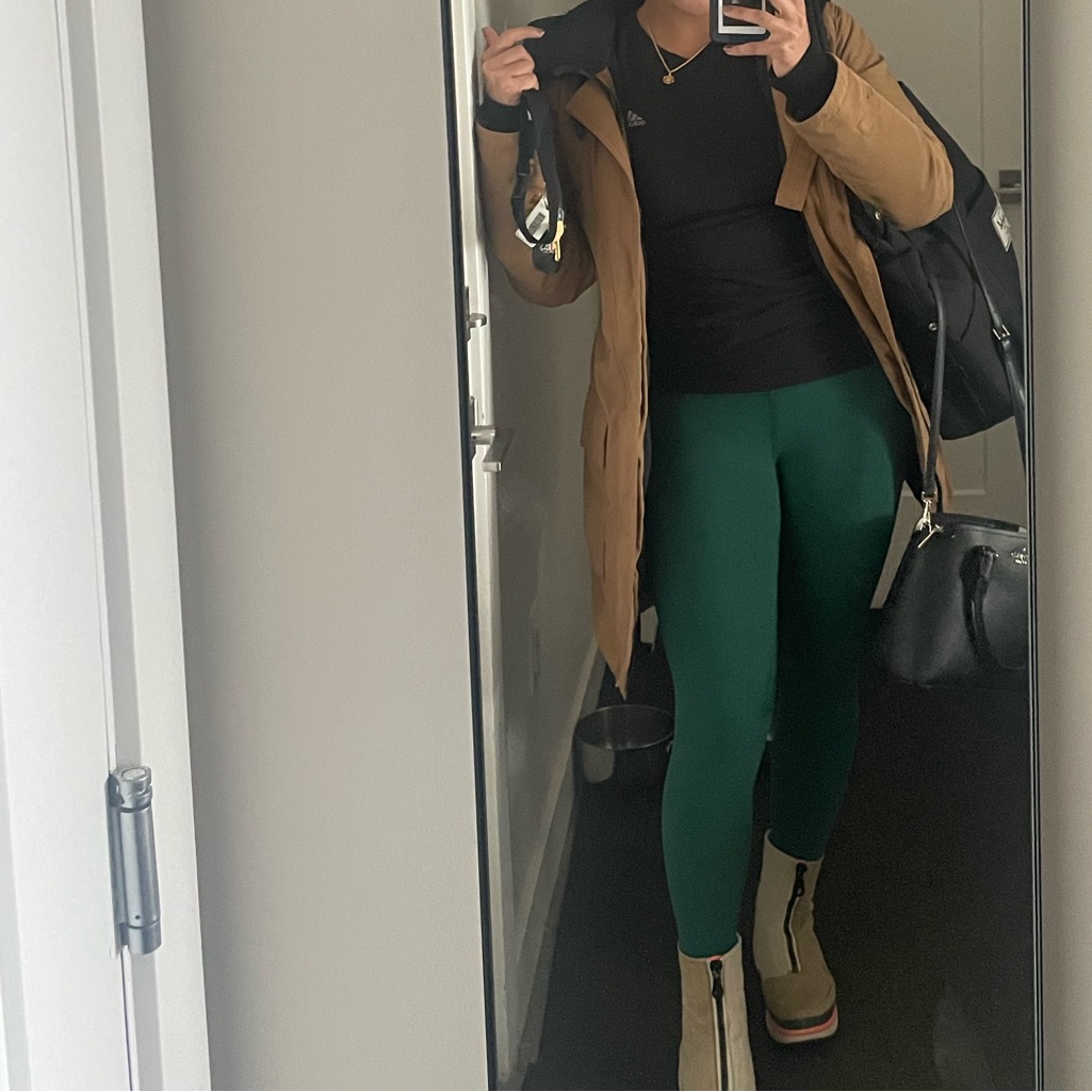 Aritzia Jacket